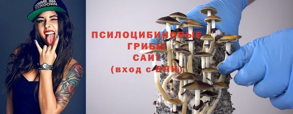 jwh Сясьстрой