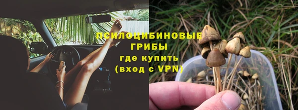 jwh Сясьстрой