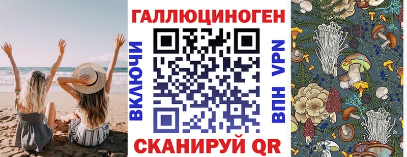 Купить где  Туапсе  Галлюциногенные грибы GOLDEN TEACHER 